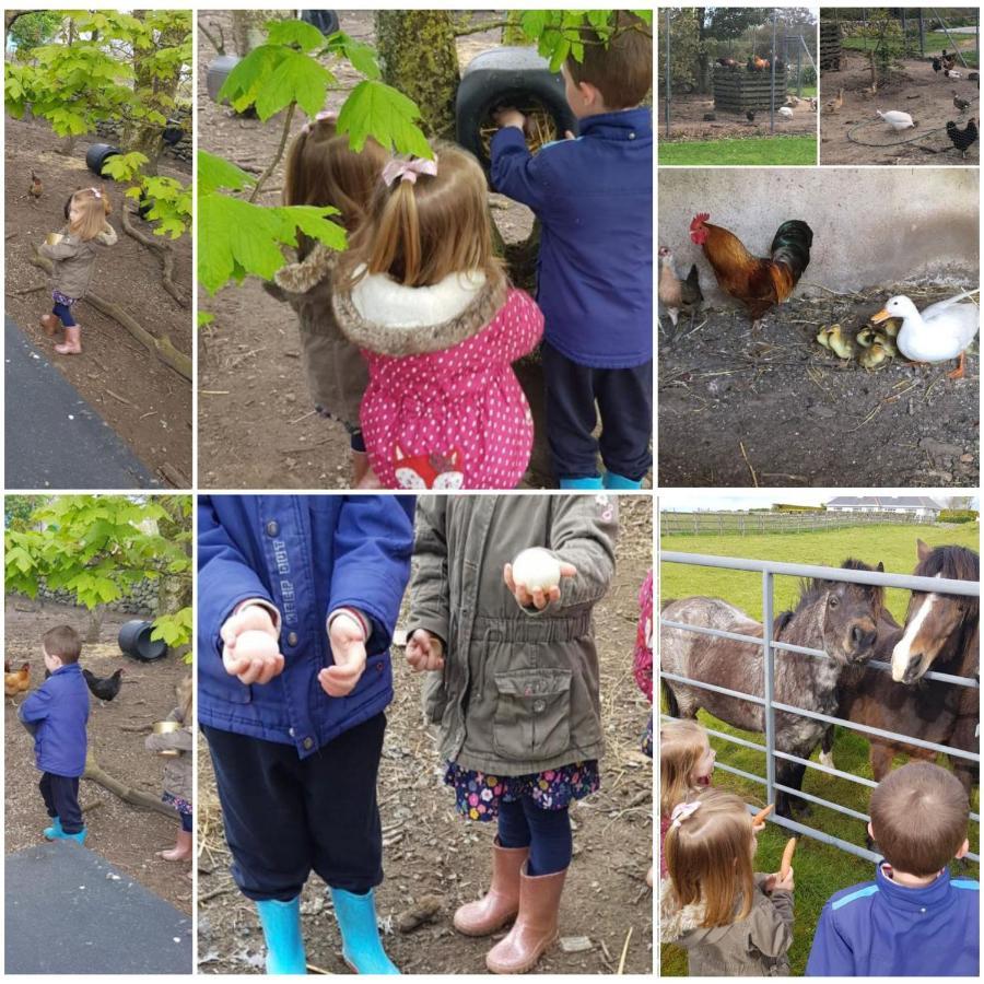 Ross Beach Family Farmhouse B&B Killala Luaran gambar