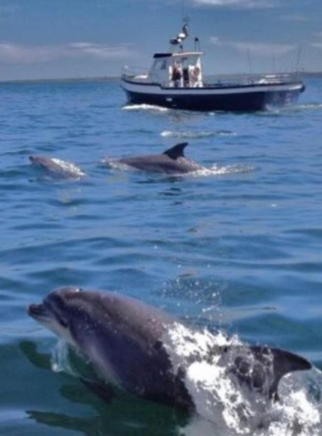 Ross Beach Family Farmhouse B&B Killala Luaran gambar